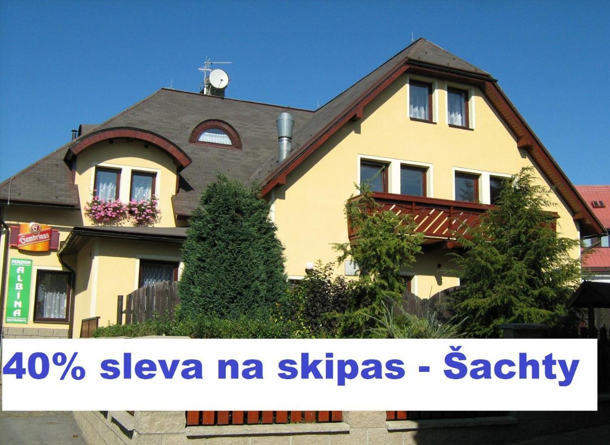 Penzion Albína - Restaurace Vysoké nad Jizerou Exterior foto