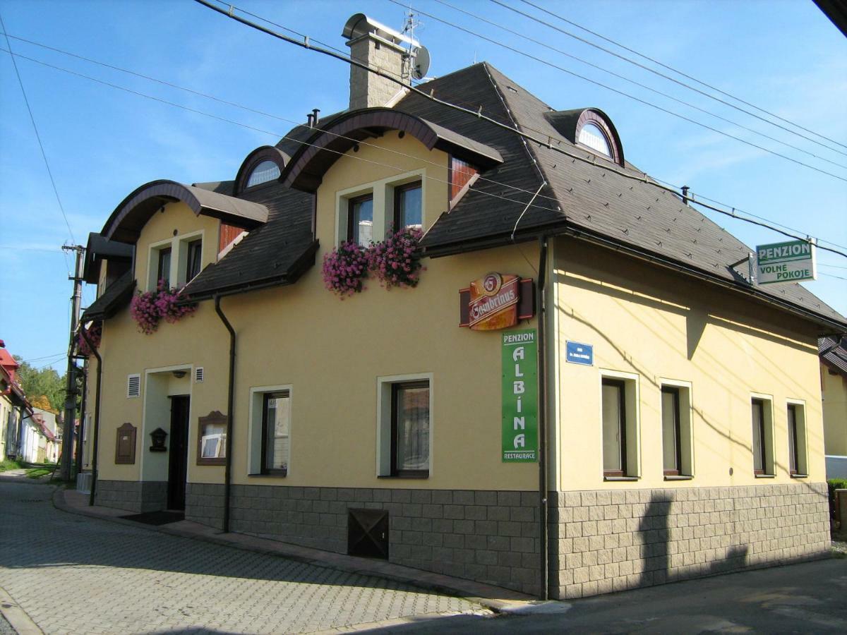 Penzion Albína - Restaurace Vysoké nad Jizerou Exterior foto